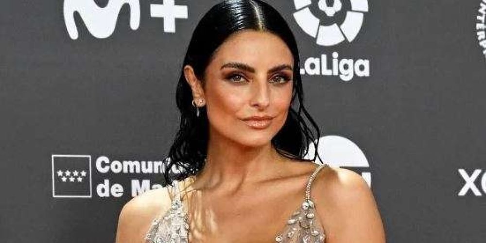 aislinn-derbez-presenta-nuevo-integrante-familia-gatito