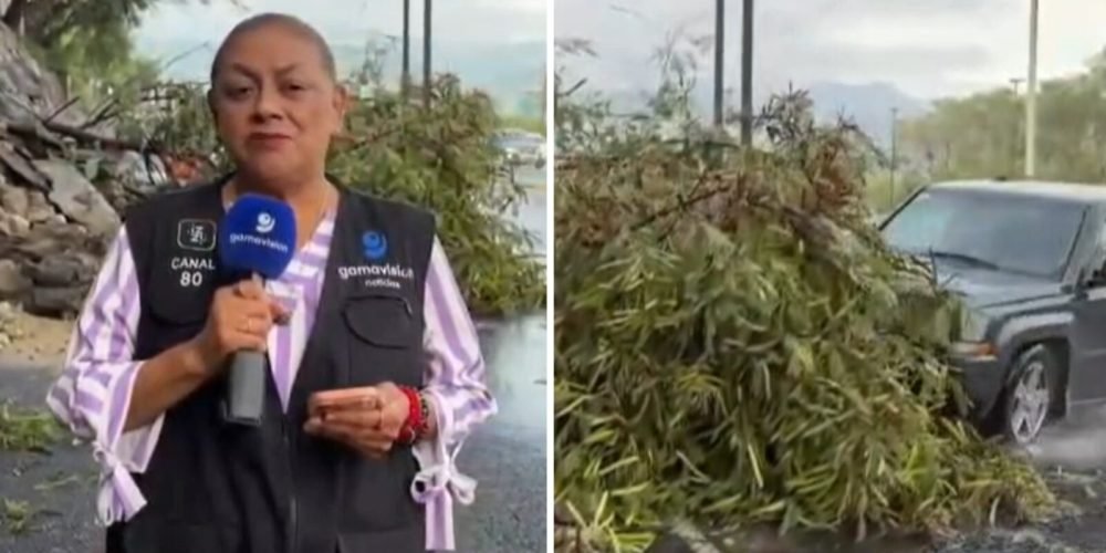 atropellan-reportera-gamavision-nuevo-leon