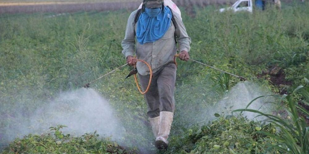 aumenta-importacion-fertilizantes-abril-2024