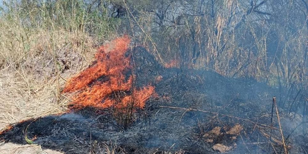 b41fda92-f5f6-49e6-86f8-cd4089f08908