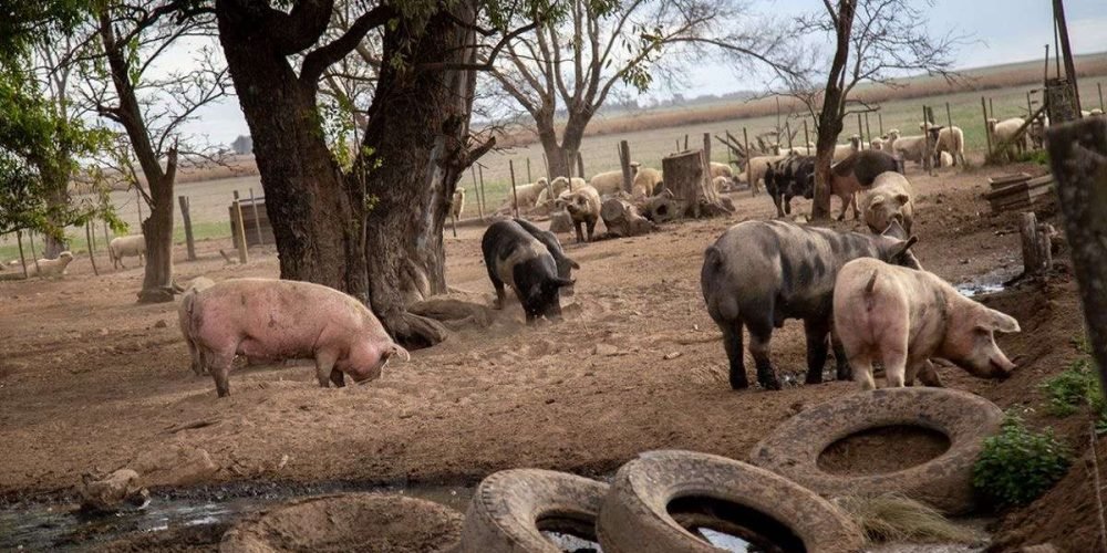 b5e801a8-45d0-481c-9bf1-a3f584d5df8f