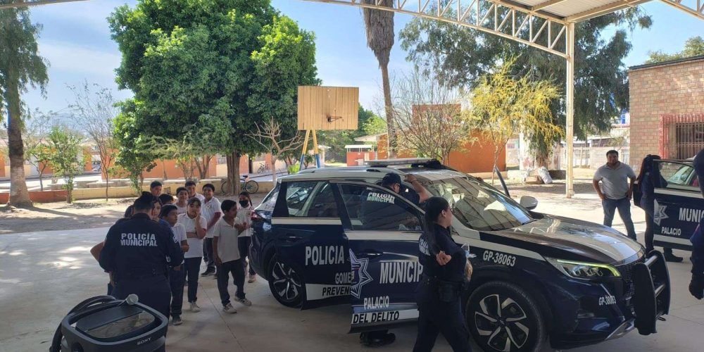 b8099d02-7992-4ccf-aee9-91b96386bea0