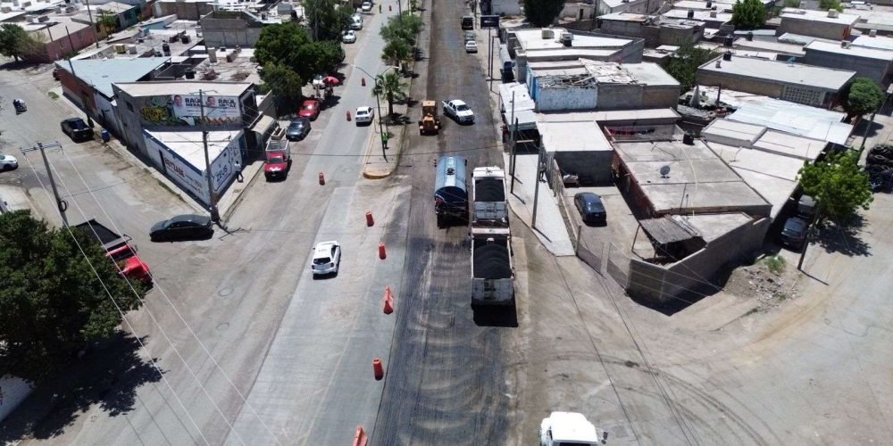 b8132739-e2c4-4e07-84ad-73fd0d23860d