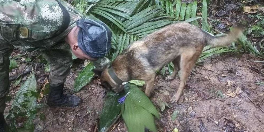 bsuqueda-ninos-desaparecidos-selva-colombia-amazonas