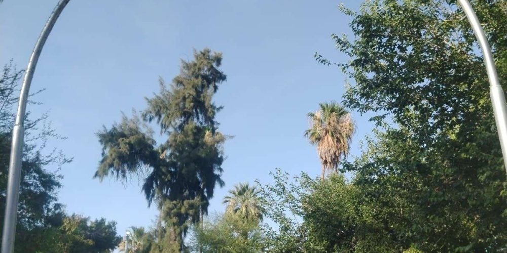 c37ee9e2-f509-4852-814a-fd853cc39159