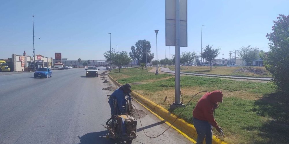 camellón del bulevar Ejército Mexicano-1