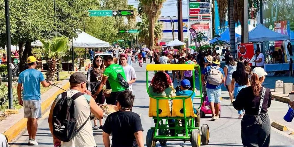 cf333ae2-5ed5-421e-b3b5-f995e3055b68