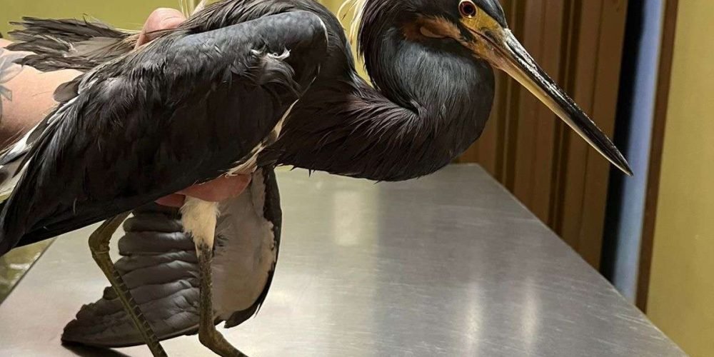 cf78d49b-3fe2-43ba-ac9c-bc1857e9f819