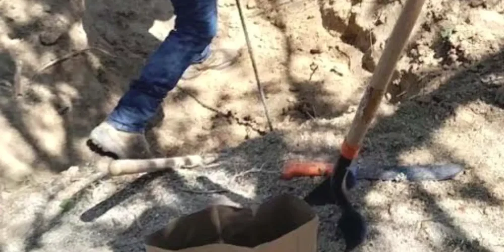 colectivo-restos-humanos-zapopan-jalisco