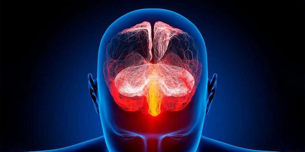 colorado-proteger-datos-del-cerebro