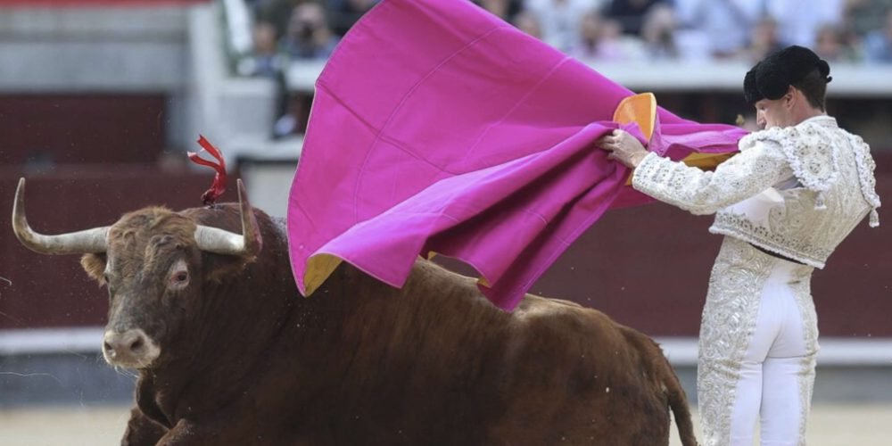 Sheinbaum respalda propuesta de Brugada: corridas de toros sin violencia en CDMX