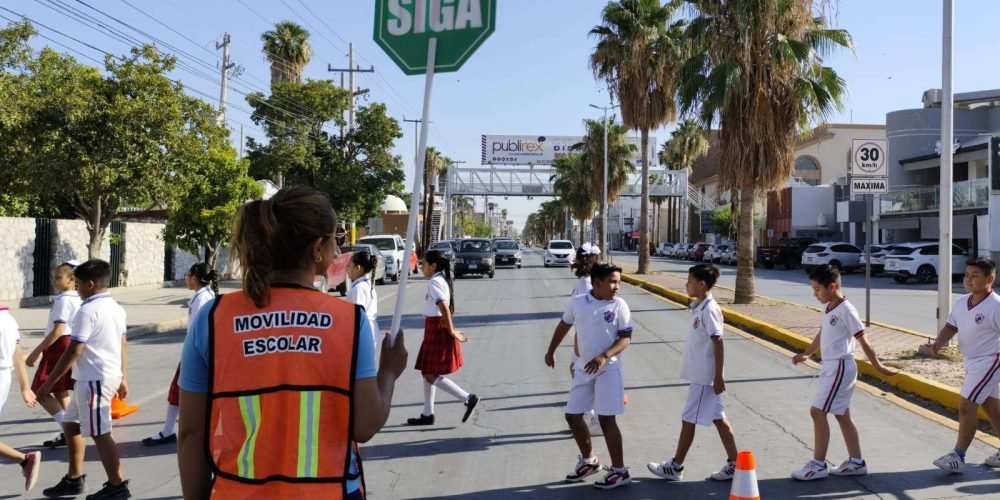 d9d9d335-3297-4f04-8924-6b26b4e3c34b