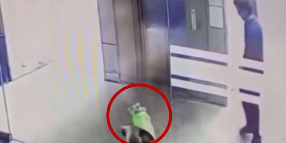 denuncian-a-presunto-médico-por-maltrato-animal