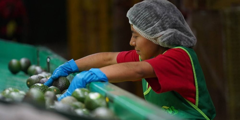 destrabar-propuesta-reducir-jornada-laboral-mexico-matrzo-2024