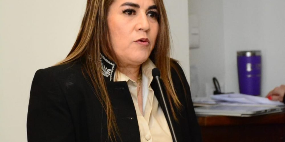 diputada-alejandra-del-valle