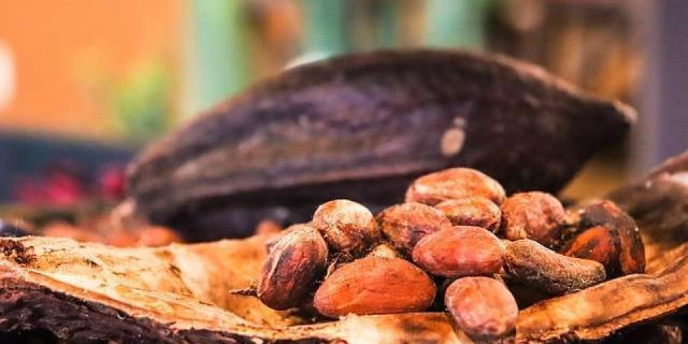disparan-precio-cacao-mayo-2024