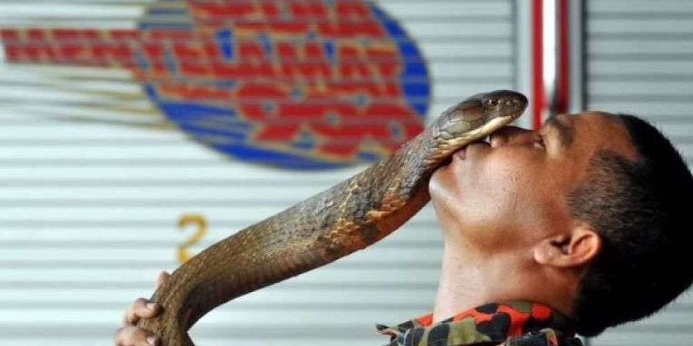domador-serpientes-muere-mordido-cobra