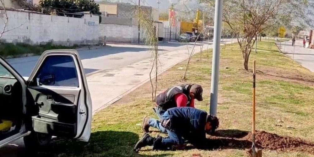 e540ea6a-3d3e-43ce-99ca-36d4039e1d84