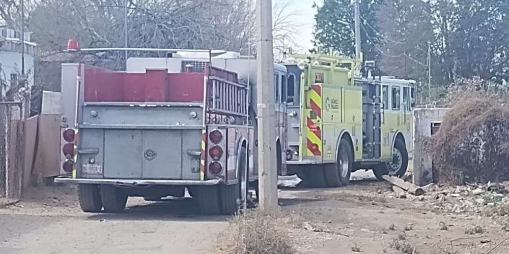 e55df3dc-99f7-4e13-a45e-8ea641165384