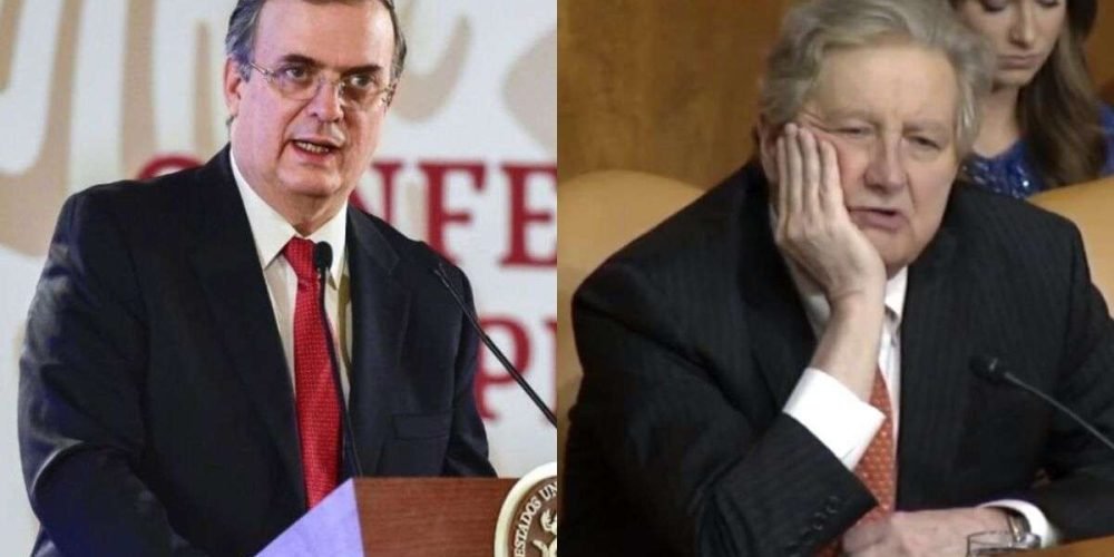 ebrard-contra-kennedy-comida-para-gatos