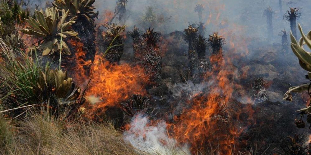 ecuador-incendio-forestal-quema-agricola-septiembre-2024
