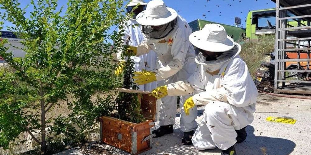 ef4cd69a-fd84-4350-ab02-d0098d74a6d6