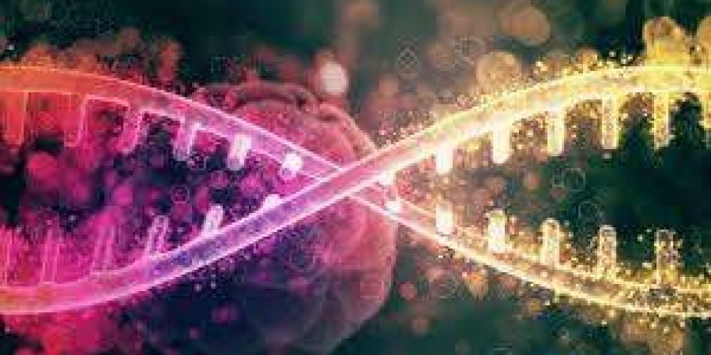 epigenetica-interruptor-secreto-de-tus-genes