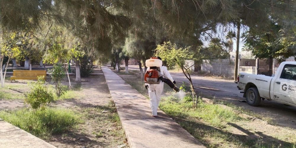 erradicar-el-mosco-del-dengue