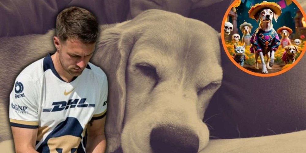 esposa-aaron-ramsey-se-despide-perrita-halo