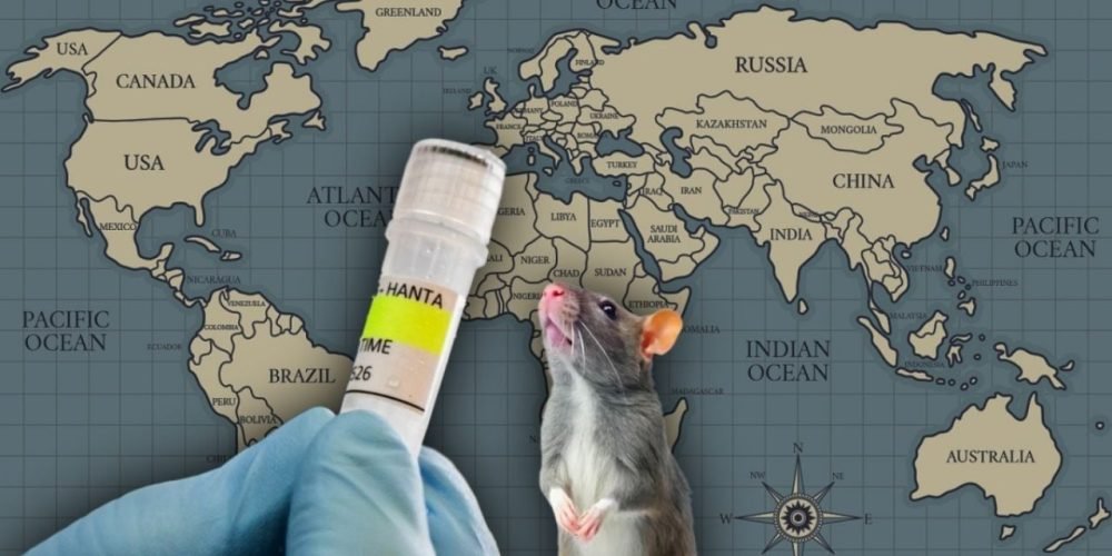 Hantavirus global