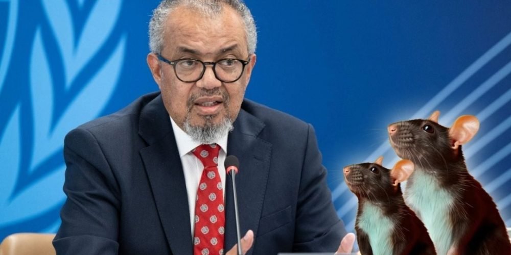 hantavirus