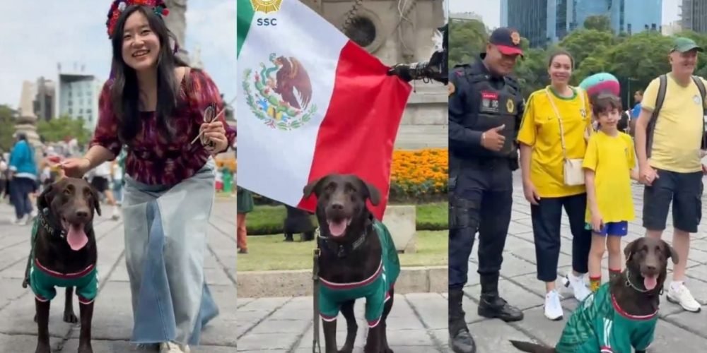 perrita policía México