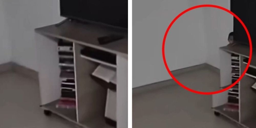video paranormal Medellín IA