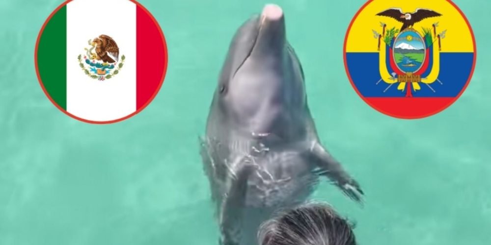 Delfín Hidalgo predicción México Ecuador