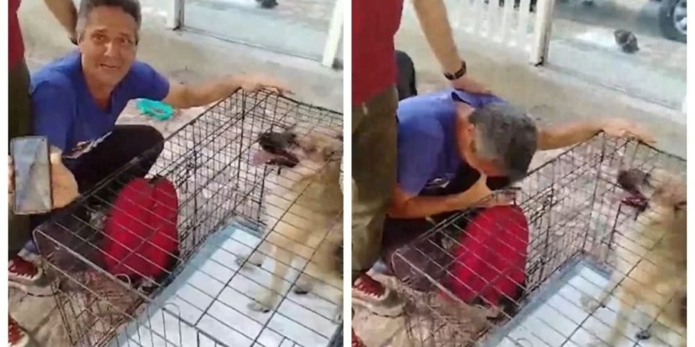 reencuentro perro dueño terremoto Venezuela