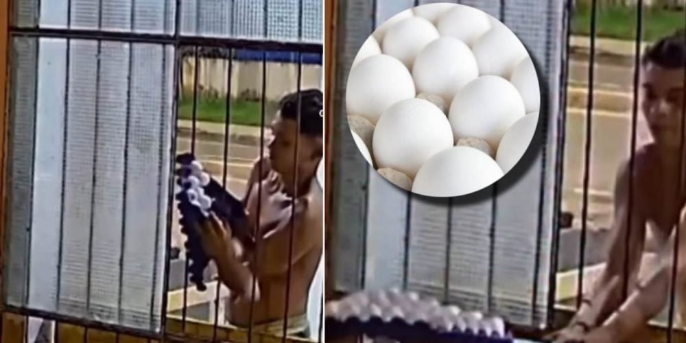 ladrón de huevos viral