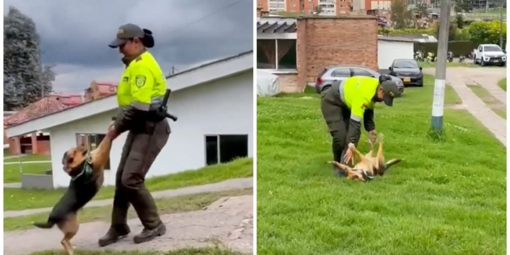 Mujer policía perrito viral