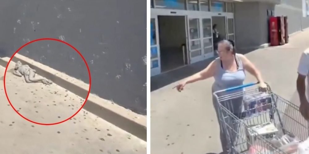 video alien supermercado