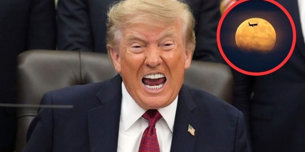 Donald Trump Luna