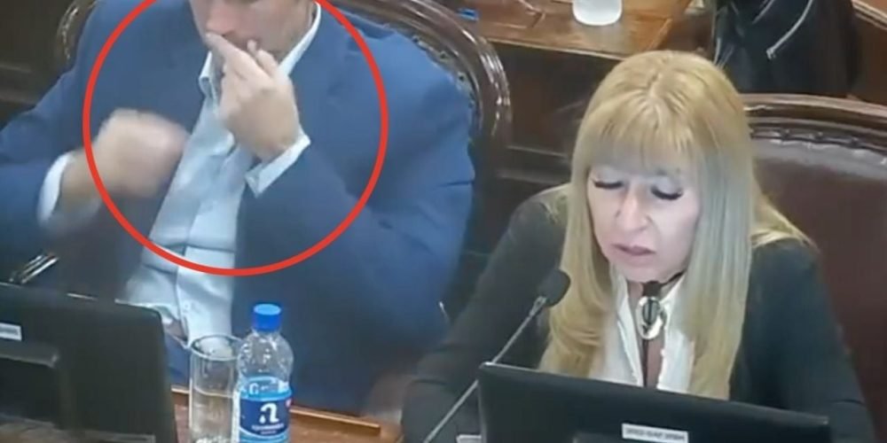 diputado argentino polémica sesión