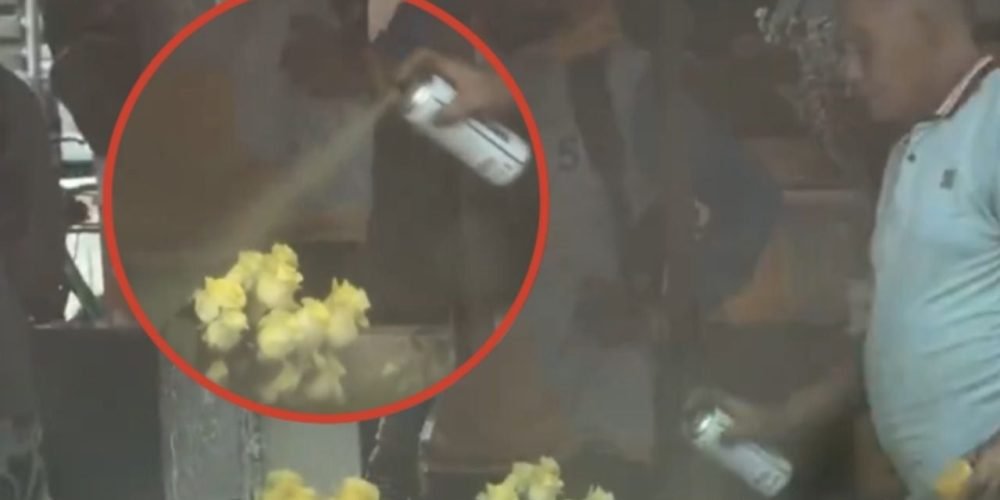 vendedor flores amarillas viral