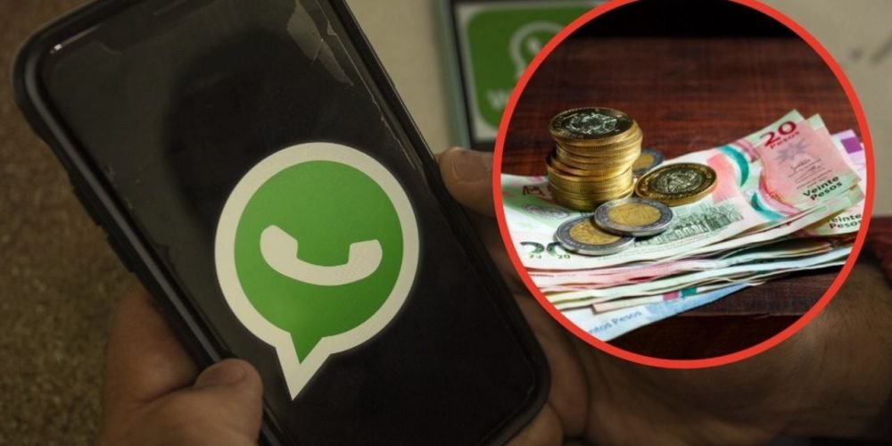 Cobro WhatsApp Business