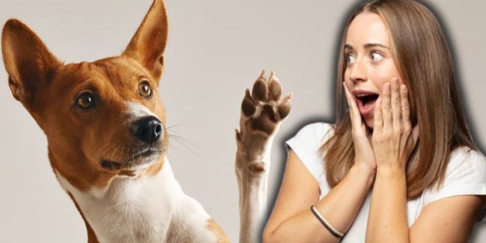 perro zurdo