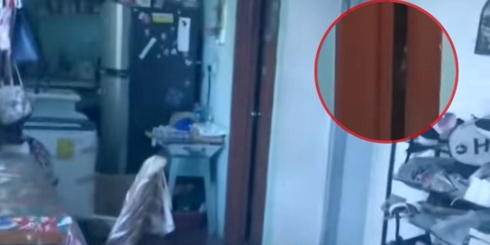 Presencia paranormal explicación científica