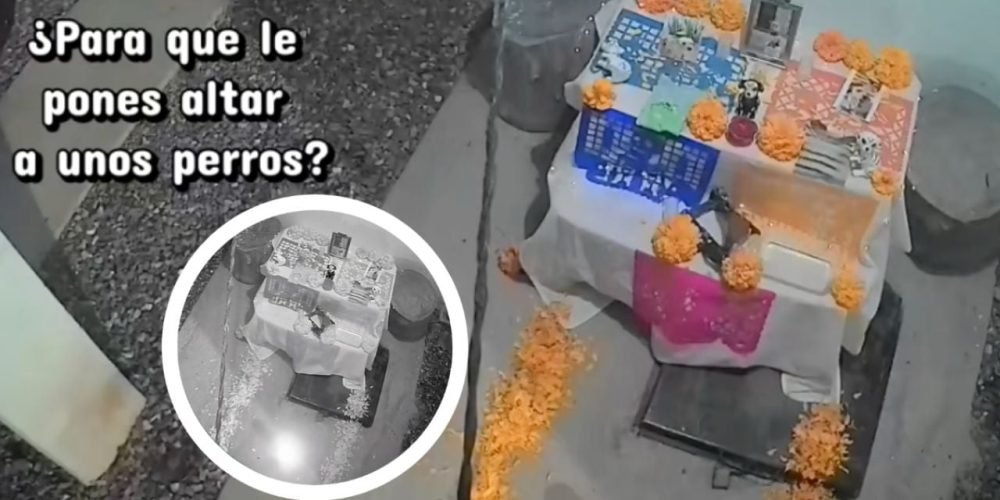 Altar perritos Día de Muertos