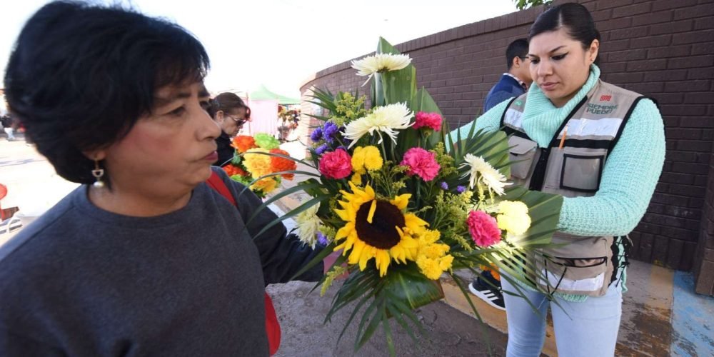 flores