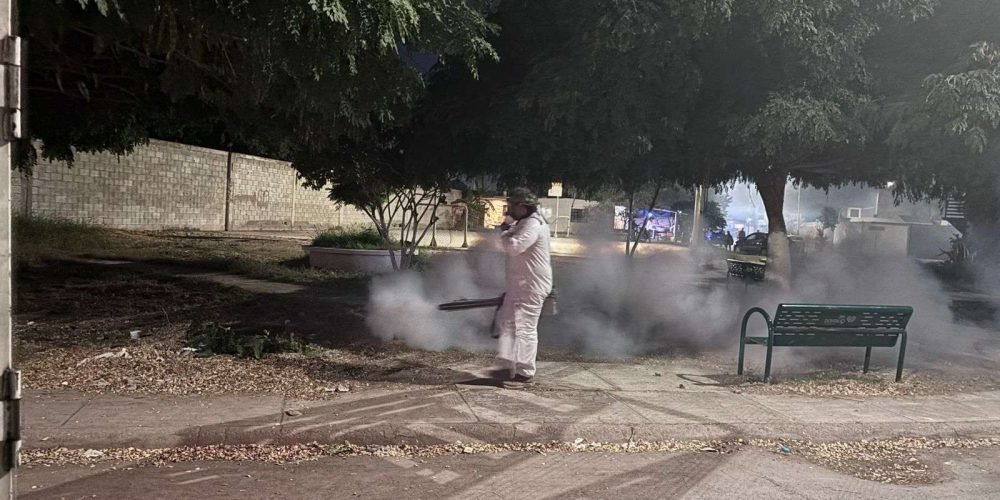 fumigacion-torreon