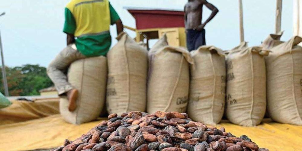 ghana-aumenta-precio-produccion-cacao-apoyo-productores