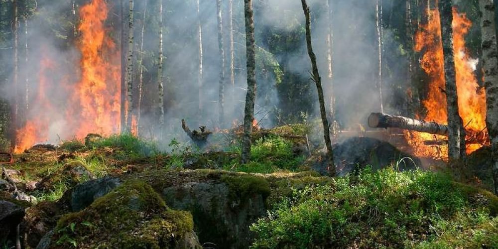 incendios-forestales-amazonas-consumen-siete-millones-hectareas