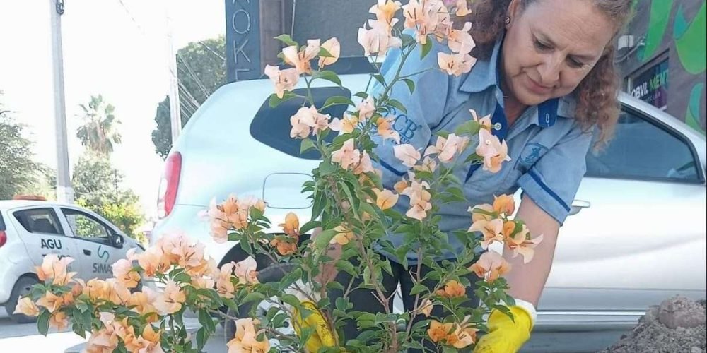 jardin-urbano-torreon